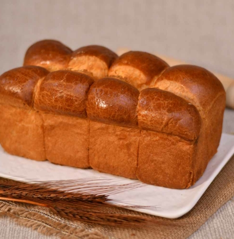 cajetin brioche (1)